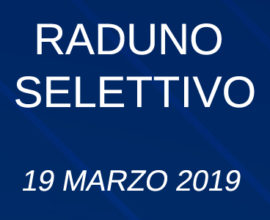 Banner raduno Roma